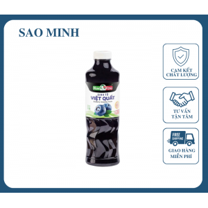 Sinh Tố Việt Quất - Rosa 1L