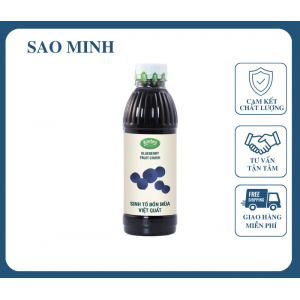 Sinh Tố Việt Quất - Osterberg 1L